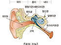 이석증(Benign paroxy..