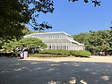 창경궁 가을 2