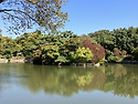 창경궁 가을 1