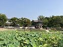 문화의 날 1