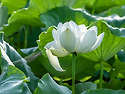 보내기 아쉬워