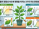 식물의 광합성 속도에 영향..