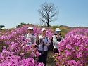 ♡모산재~황매산철쭉산행♡