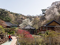마이산