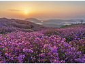 황매산