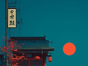 Timeless, JAPAN
