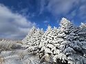 제92차 지리산 바래봉(눈꽃)산행 공지