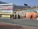 3월 환경정화활동
