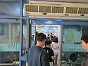 생존수영 앤 어르신 오리배체험
