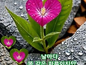 7월 16일 목요일 출석부