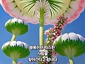 5월21일수요일 출석부