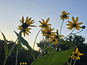 성밖길69(산행3, 26/10/06, 북문-서문-남문, Dreaming of Home and Mother)