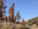 1111_파주 율곡수목원_문학기행