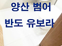 범어 반도유보라 줄눈시공