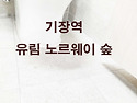 화가손 줄눈 유림 노르웨이 숲 기장역