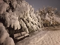 수도권의 暴雪(폭설) 내리다