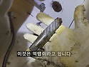벽면 수도부속이 부러졌을 때는 이렇게