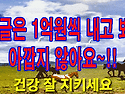 🍀이 글은 1억원씩 내고 봐도 아깝지 않아요~!!🍀