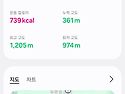 용서기&진아의 2025년영남알프스 7봉..