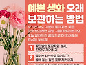 힘들 때 보면 행복해지는 ..