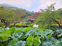 명재고택