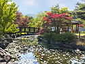 금강 수목원