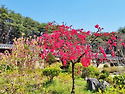 전열(全烈)