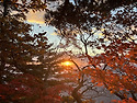 가을은 🍂은 어떤색?