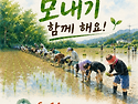6.14.(해날) 마을 모내기 합니다. (오실분들은 6.10. 물날까지 댓글 부탁드려요)