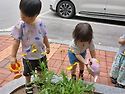 나무의 마음 (나무에 물 주기) 🌳 💦