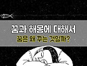 제리는 개꿈쟁이