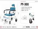 PT-300