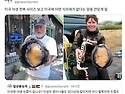 미국의 야생전복의 크기