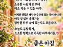 모순