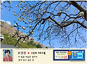 오선민/2026 봄 참방