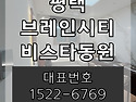 평택 브레인시티 비스타동..