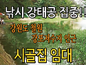 강원도 철원 시골집임대 ..