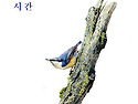 주변에서 만난 새들을 세밀화로 그려 소개하다!