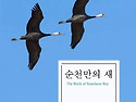 순천만에서 관찰할 수 있는 새들을 소개하다!