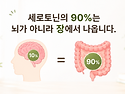 세로토닌은 행복 호르몬이 아니다? ＜이승헌 뇌교육＞