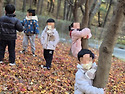 🌳 봉제산 숲체험 학습