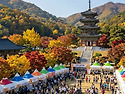 2026 김천김밥축제 일정 주차 먹거리 완벽 가이드