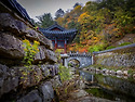 산국