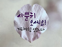 2026년 5월 31일 대촌성당 예비신자 입..