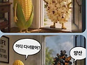 양산40도