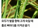 함안디카시공모전 수상작/김영숙 홍보이..
