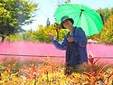 10월6일(화)"오만데 때만데"중"오만데..