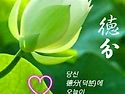 덕분입니다
