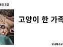 아회동요곡집4(CD3) - 고양이 한 가족 – 가사, 가사 그림 스티..