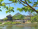 경복궁 & 청와대